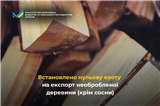Встановлено нульову квоту на експорт необробленої деревини